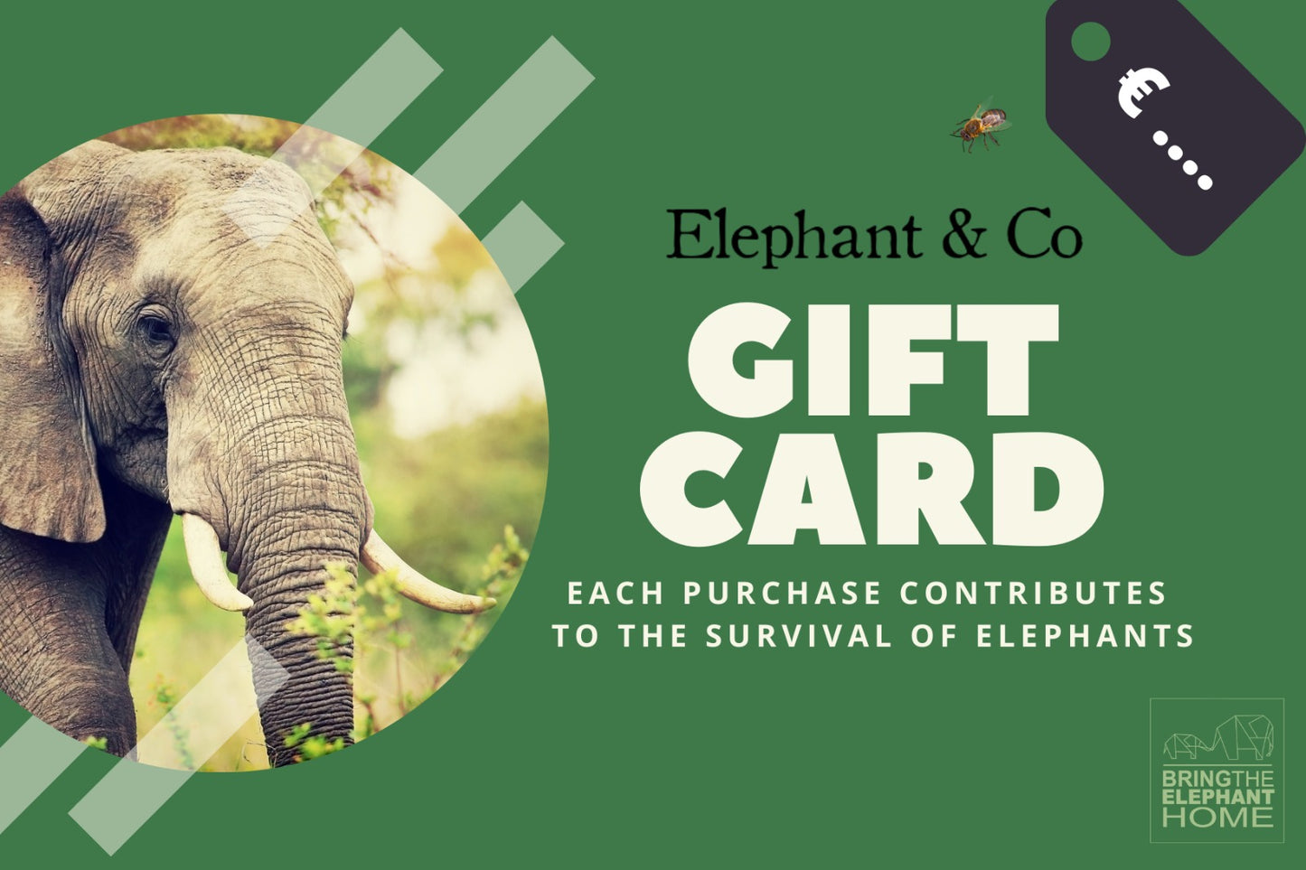 Elephant & Co Gift Card